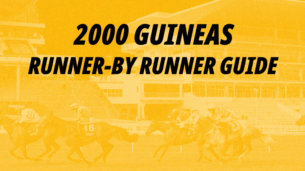 Horse racing expert Katie Midwinter brings us a runner guide to the 2000 Guineas
